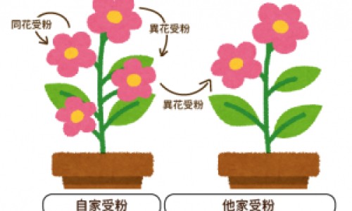 感咳双清胶囊成分是什么-感咳双清胶囊成分是什么专区_感咳双清胶囊副作用专区_感咳双清胶囊能吃多久网