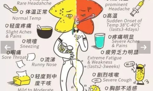 感咳双清胶囊和哪三种药一起吃-感咳双清胶囊成分是什么专区_感咳双清胶囊副作用专区_感咳双清胶囊能吃多久网