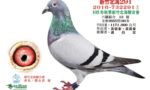 感咳双清胶囊成分是什么专区_感咳双清胶囊副作用专区_感咳双清胶囊能吃多久网
